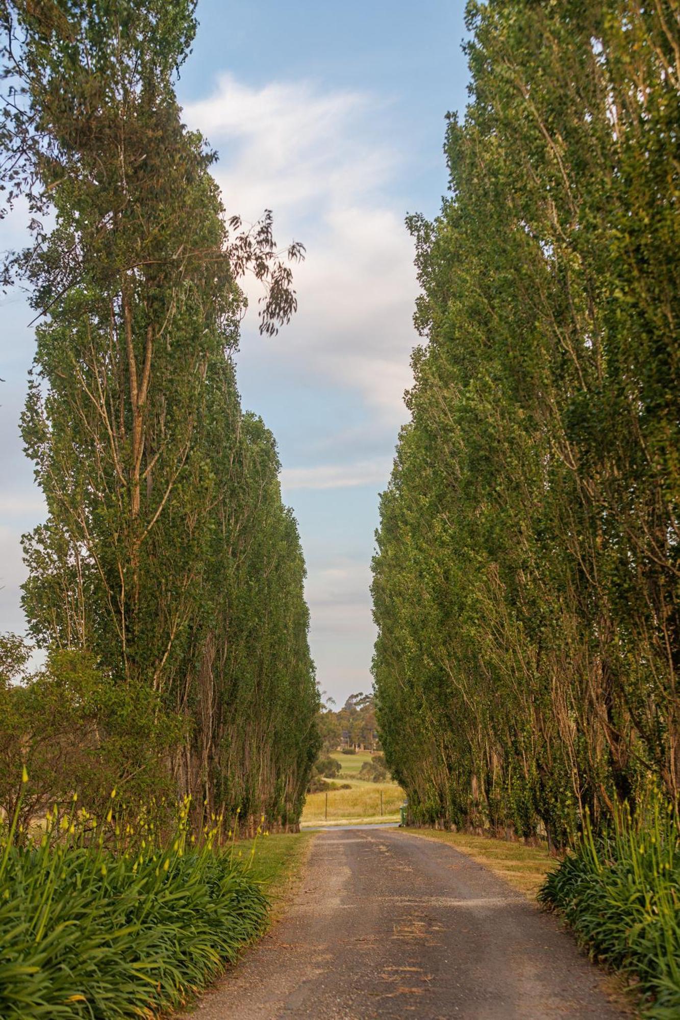 Heritage Holiday House No.17 Βίλα Wonga Park Εξωτερικό φωτογραφία